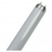 OSRAM TL BUIS 58W/830 WARM WIT 1500MM